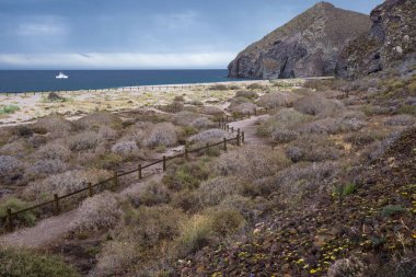 İspanya Endülüs Cabo de gata plaj ölü