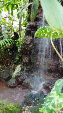Botanik Bahçesi munich Bavyera nymphenburg tropik şelale
