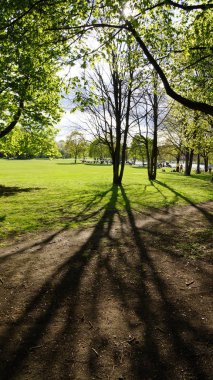 West park Münih günbatımı gündüz bahar ağacı gölge
