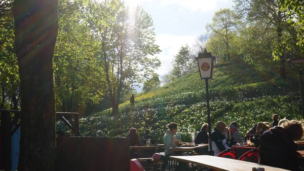 Parque oeste Munique pôr do sol jardim de cerveja primavera diurna — Fotografia de Stock
