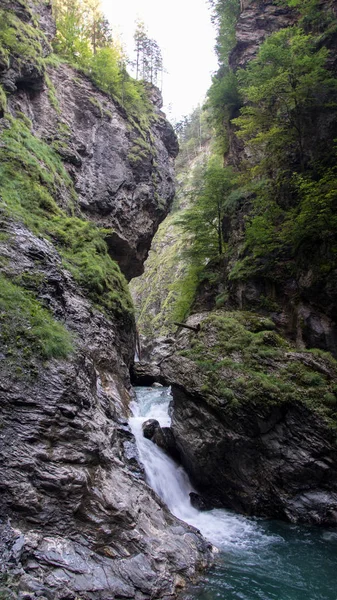 alp dağ kanyon içinde