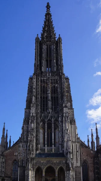 Ульмовая башня церкви летом — стоковое фото