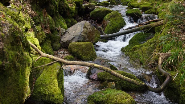 Caída de agua con árboles caídos madera de segunda mano en bosque negro —  Fotos de Stock