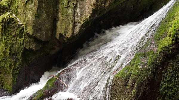 Primer plano de agua salvaje caída bosque negro — Foto de Stock