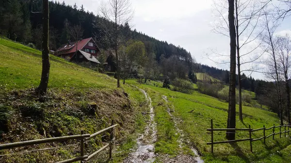 Kara ormanda kır evine çamurlu yol — Stok fotoğraf