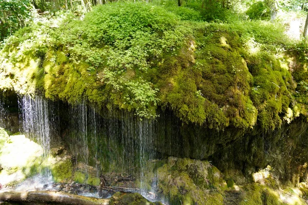 Water fall from moss covered rock — Stock Photo, Image