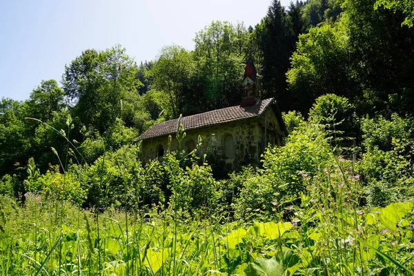 Oude verlaten Chapel in midden van zwarte bos weide — Stockfoto