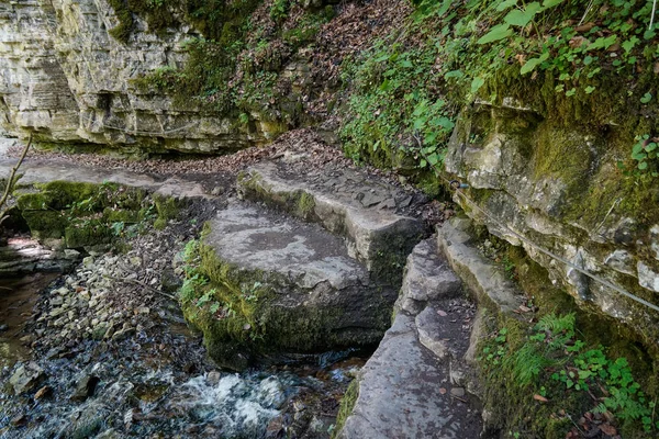 Rocha no lado do rio de wutach canyon bela caminhada — Fotografia de Stock