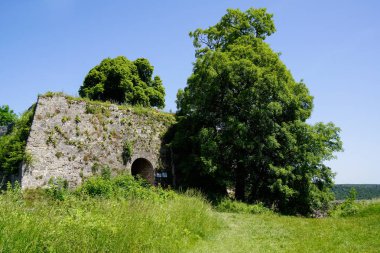 çayır kale girişinde önünde büyüyen ağaç