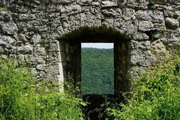 Olhar através do castelo ruína portão para a floresta — Fotografia de Stock