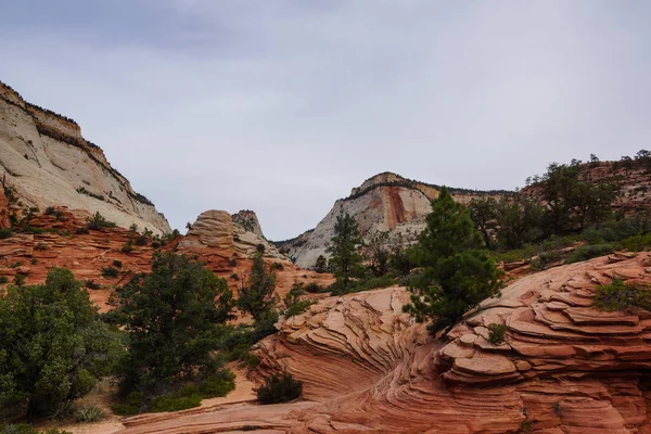 Zion Canyon Utah sahne — Stok fotoğraf