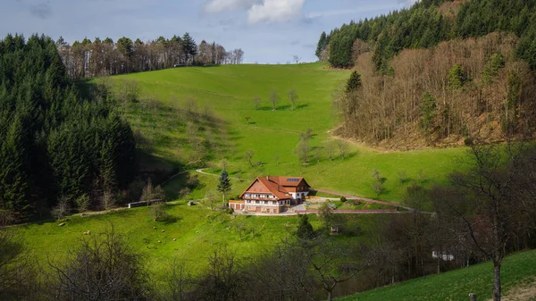 Kara Orman kır evi — Stok fotoğraf