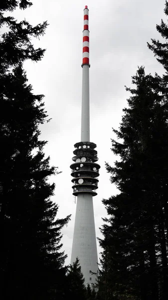 radio transmission tower between trees