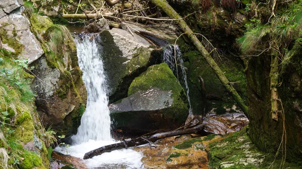 Cascada y rocas en bosque negro —  Fotos de Stock