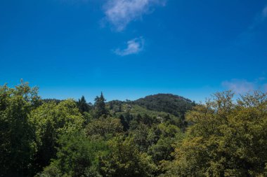 Ulusal Saray da Pena Parkı