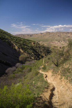 kafkas tepelerinden yürüyerek