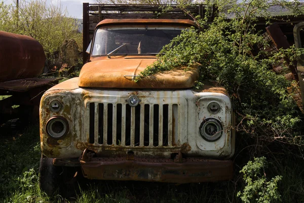old vintage truck wreck overgrown