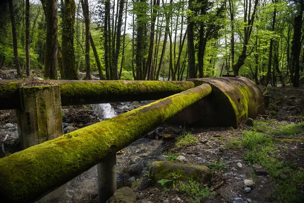 Viejas tuberías oxidadas con tanque en el bosque —  Fotos de Stock