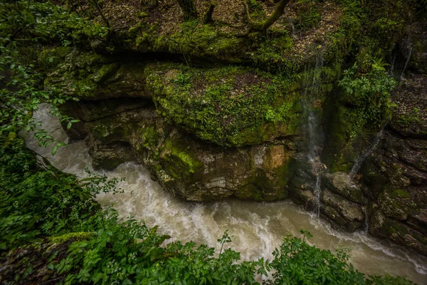 Martvili cañón grandes rocas a orillas del río —  Fotos de Stock