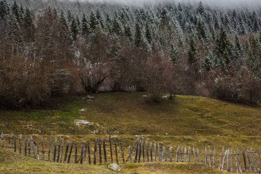 svanetia çayır ve orman tarafı