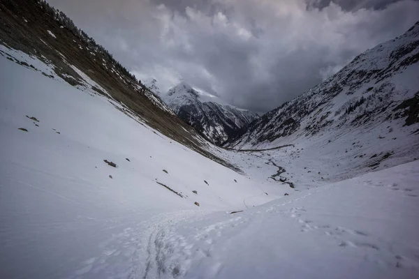 path through snow in Chalaadi Glacier