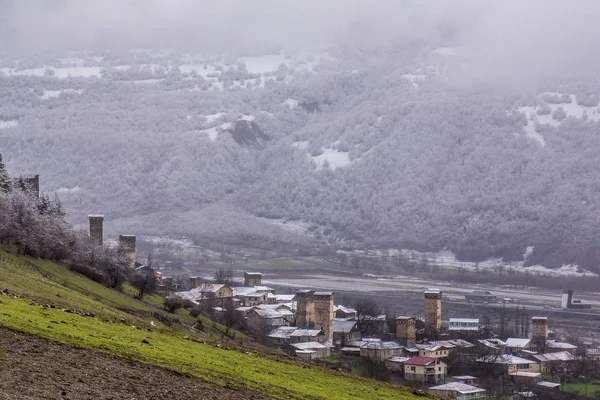 Nouveaux arbres enneigés sur la colline en face de mestia — Photo