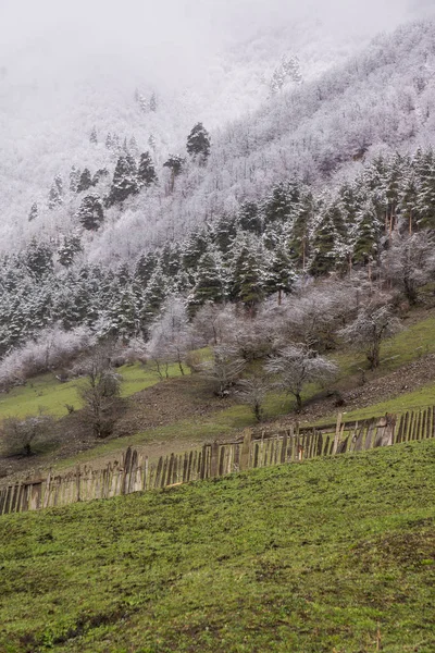 Neige fraîche en svanetia — Photo