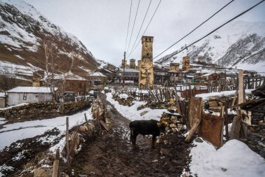 tipik usguli köy manzarası