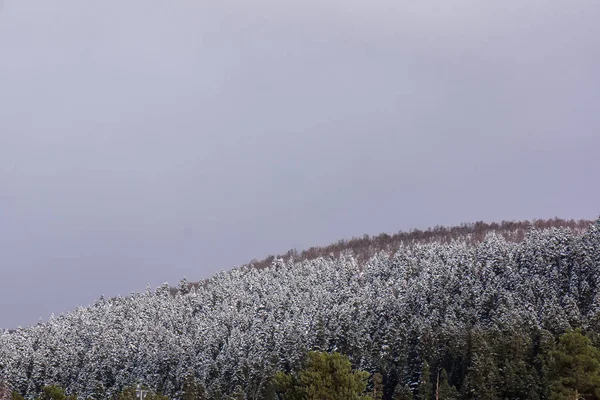 Ciel gris et montagnes enneigées en mestia — Photo