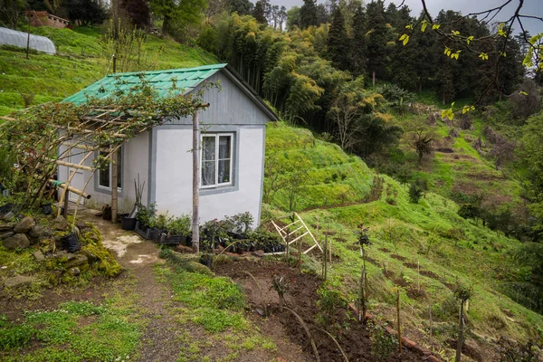 Pequeña casa de jardín en la colina — Foto de Stock