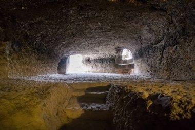 antik gürcü simge mağara kenti vardsia