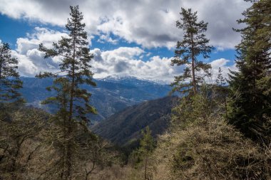 borjomi milli parkı uzak görüş