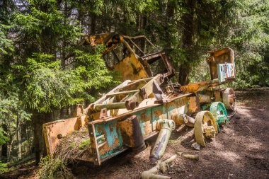 ormanda eski terk edilmiş sovyet tankı