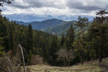 Gürcistan'daki dağ panorama
