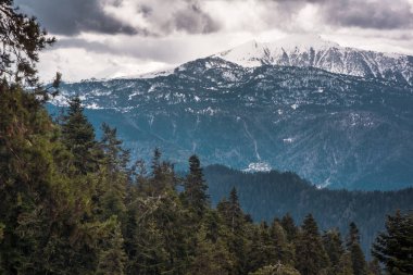 gürcistan'da karla kaplı dağ