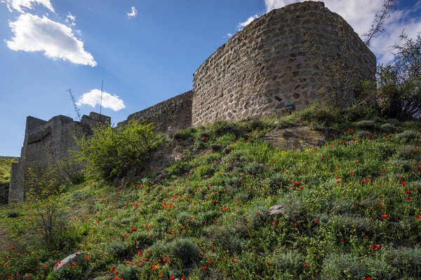 in front of mzcheta castle