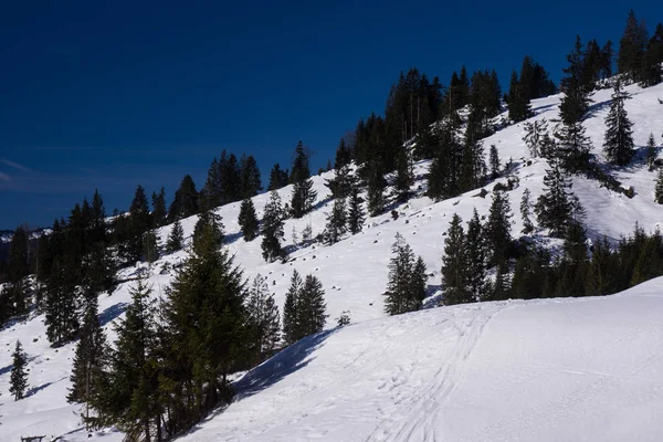 Alpes alemanes cima de la montaña en los árboles de invierno —  Fotos de Stock