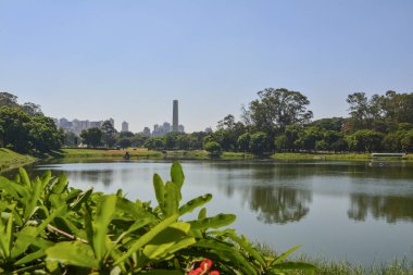 Sao Paulo skyline, view from Parque Ibirapuera park
