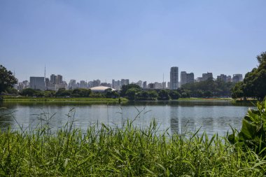 Sao Paulo skyline, view from Parque Ibirapuera park