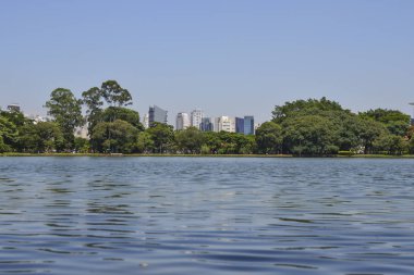 Sao Paulo skyline, view from Parque Ibirapuera park