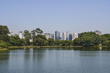 Sao Paulo skyline, view from Parque Ibirapuera park