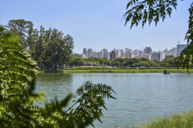 Sao Paulo skyline, view from Parque Ibirapuera park