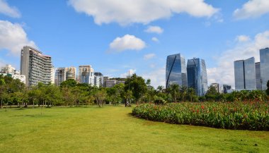 Modern binalar Sao Paulo Parque görünümünden yapmak Povo