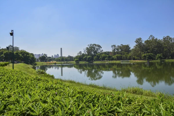 Sao Paulo skyline, view from Parque Ibirapuera park