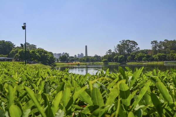 Sao Paulo skyline, view from Parque Ibirapuera park