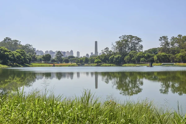 Sao Paulo skyline, view from Parque Ibirapuera park