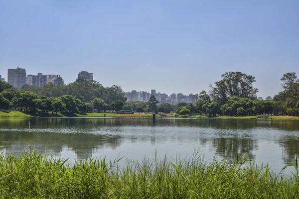 Sao Paulo skyline, view from Parque Ibirapuera park