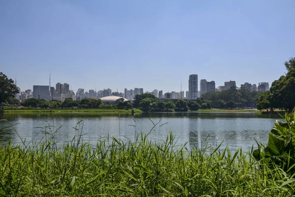 Sao Paulo skyline, view from Parque Ibirapuera park