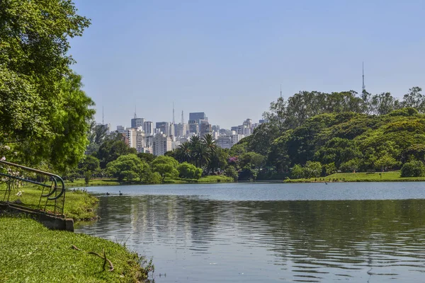 Sao Paulo skyline, view from Parque Ibirapuera park