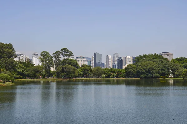 Sao Paulo skyline, view from Parque Ibirapuera park